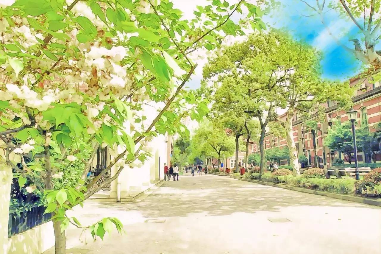 SBC-主干道.jpg